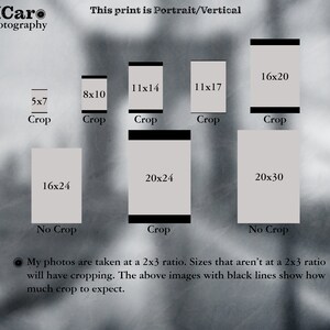 May include: A chart showing the different print sizes available for portrait photos. The chart shows the dimensions of each print size and whether it will be cropped or not. The text "This print is Portrait/Vertical" is at the top of the chart.