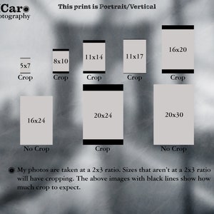 Peut inclure: Un tableau montrant diff&eacute;rentes tailles d'impression et la quantit&eacute; de recadrage qui se produira lors de l'impression de photos prises avec un rapport de 2x3. Le tableau montre les tailles d'impression 5x7, 8x10, 11x14, 11x17, 16x20, 16x24, 20x24 et 20x30. Le tableau indique quelles tailles n&eacute;cessiteront un recadrage et lesquelles ne le n&eacute;cessiteront pas.