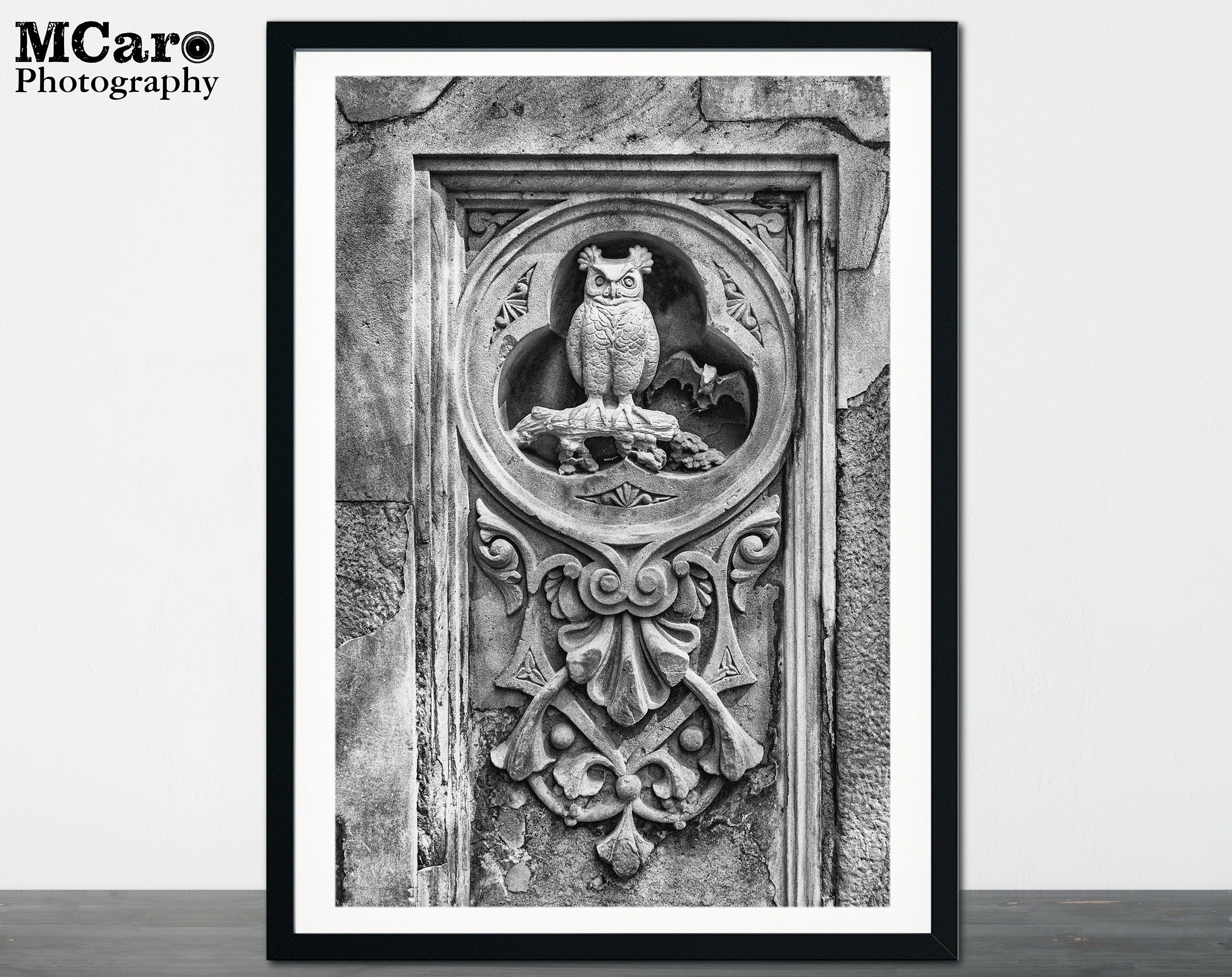 Central Park Photography, Owl Print, NYC Art, Bethesda Terrace, New York Print, Home Decor, Office P