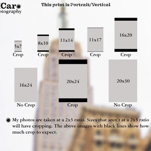 May include: A chart showing different print sizes and how much cropping will occur for each size. The chart shows that prints with a 2x3 ratio will not be cropped, while prints with other ratios will be cropped. The chart also shows the amount of cropping that will occur for each size.