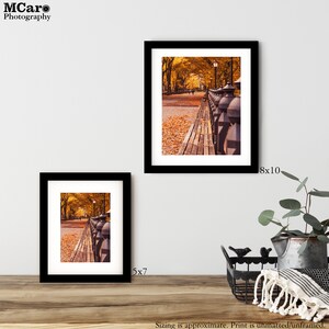 Peut inclure: Deux photographies encadr&eacute;es d'une all&eacute;e dans un parc avec des feuilles d'automne. La plus grande photo mesure 20,3 x 25,4 cm et la plus petite 12,7 x 17,8 cm. Les deux photos sont dans des cadres noirs.