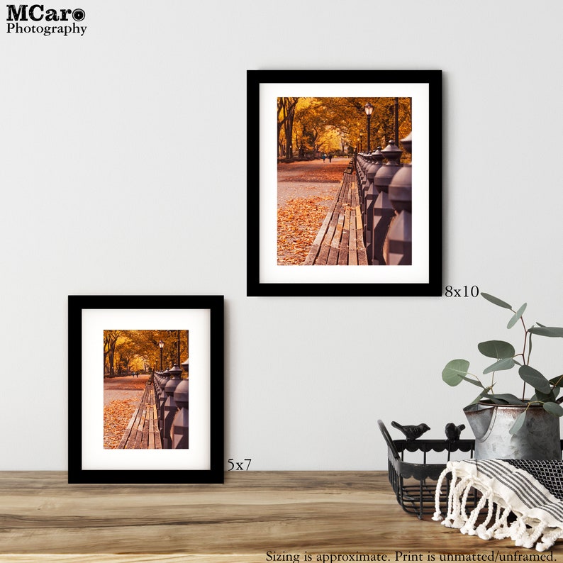 Peut inclure: Deux photographies encadr&eacute;es d'une all&eacute;e dans un parc avec des feuilles d'automne. La plus grande photo mesure 20,3 x 25,4 cm et la plus petite 12,7 x 17,8 cm. Les deux photos sont dans des cadres noirs.