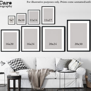 May include: A white wall with a white couch and black end tables. There are eight black picture frames with white mats hanging on the wall. The frames are labeled with different sizes in inches, such as 5x7, 8x10, 11x14, 11x17, 16x20, 16x24, 20x24, and 20x30.