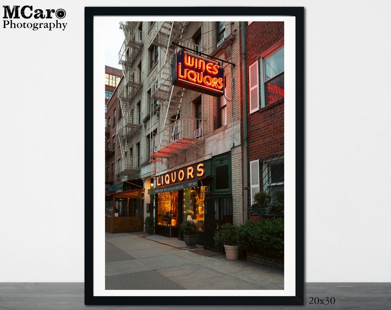 May include: A red neon sign with the words "Wines Liquors" above a storefront with a green awning and the words "Liquors" in a smaller neon sign. The building is brick with a fire escape and a window with white shutters.