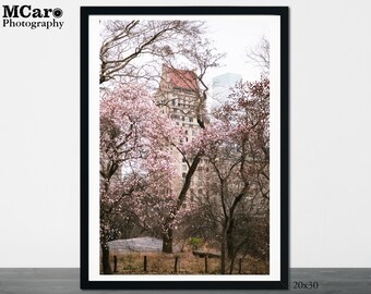 New York Photography, Central Park, NY Art Print, Manhattan Print, Romantic New York, Nature Art, Spring Photography, Spring Print, 123