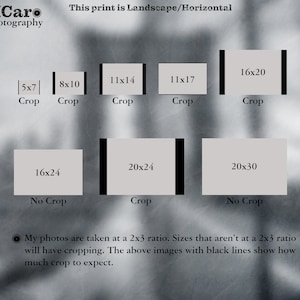 May include: A diagram showing different print sizes and how much cropping will occur when printing photos taken at a 2x3 ratio. The diagram shows the print sizes 5x7, 8x10, 11x14, 11x17, 16x20, 16x24, 20x24, and 20x30. The print sizes with black lines around them indicate that cropping will occur.