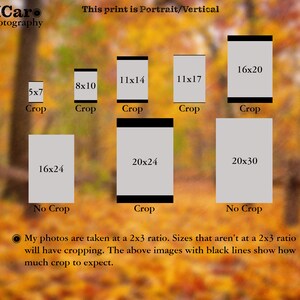 Peut inclure: Un tableau montrant les tailles de recadrage pour diff&eacute;rentes tailles d'impression. Le tableau montre que les impressions qui ne sont pas dans un rapport de 2x3 seront recadr&eacute;es. Le tableau montre les tailles de recadrage pour les tailles d'impression suivantes&nbsp;: 5x7, 8x10, 11x14, 11x17, 16x20, 16x24, 20x24 et 20x30.