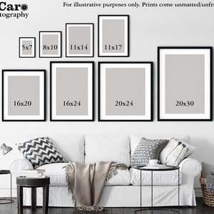 May include: A white wall with a white couch and a variety of black picture frames with different sizes and dimensions. The frames are arranged in a staggered pattern on the wall. The text in the frames reads: 5x7, 8x10, 11x14, 11x17, 16x20, 16x24, 20x24, and 20x30.