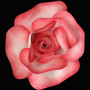 Extra Small Rose Paper Flower with Colored Edges - Style #1