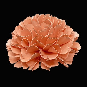 May include: A large, peach-colored paper flower with many layers of petals.