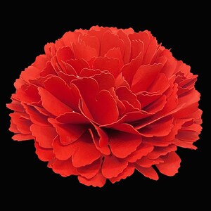 Medium Paper Carnation