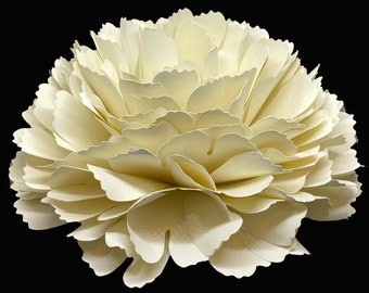Extra Large Paper Carnation