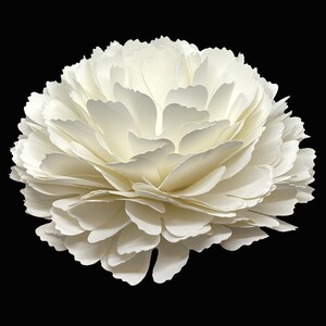 Large Paper Carnation