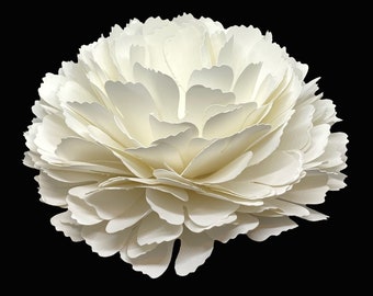 Large Paper Carnation