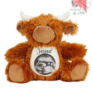 Ultrasound Photo Teddy - 9 Options - Baby Shower Gift - Keepsake