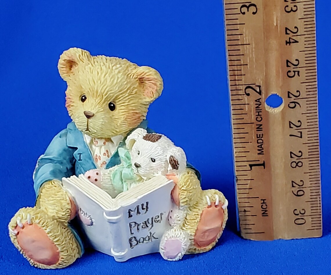 Sweet Devotion Teddies