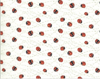Solana Ladybug 48684 Peach Ladybugs Bugs Orange Moda Fabrics Quilting Cotton Fabric