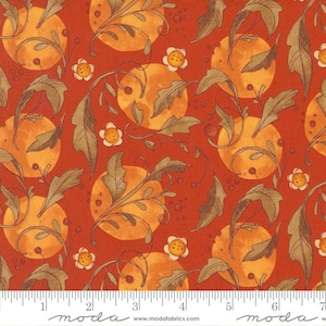 Moda FOREST FROLIC Quilt Fabric By-The-1/2-Yard by Robin Pickens - 48741 18 Copper