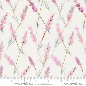 Moda BLOOMING LOVELY Quilt Fabric By-The-1/2-Yard by Janet Clare - 16975 11 Cream