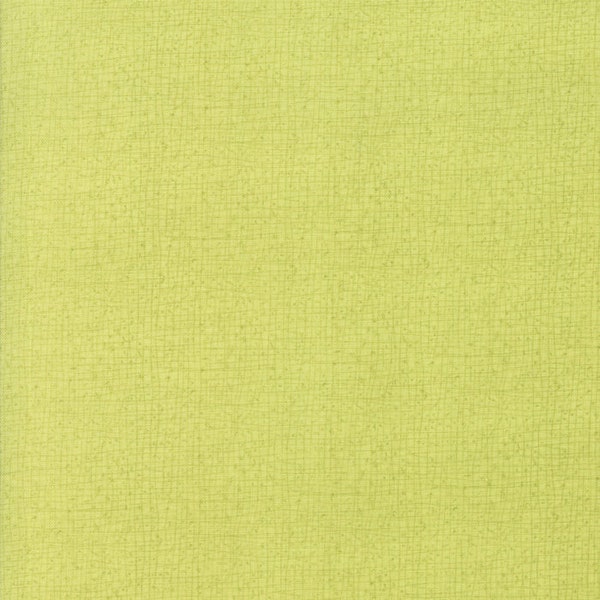 Tessuto per trapunte Moda THATCHED, venduto al mezzo metro, di Robin Pickens - 48626 124 Abby Rose Greenery