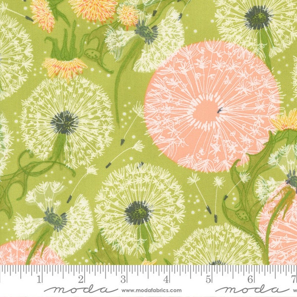 Moda DANDI DUO Quilt Stoff By-The-1/2-Yard by Robin Pickens - 48750 13 Grass