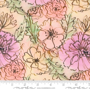 Moda BLOOMING LOVELY Quilt Fabric By-The-1/2-Yard by Janet Clare - 16970 11 Petal