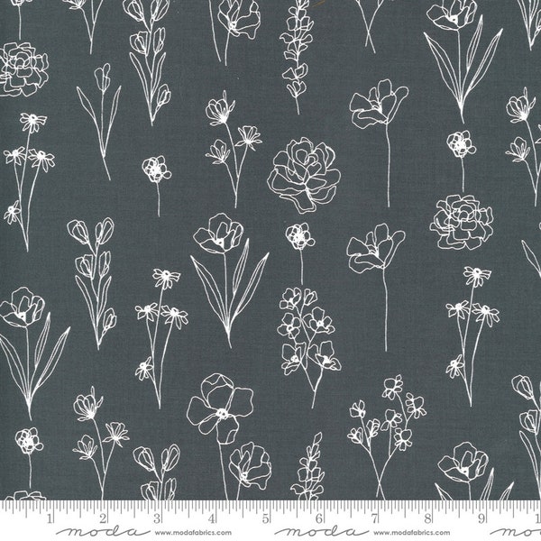 Moda ILLUSTRATIONS Quilt Fabric By-The-1/2-Yard by Alli K Designs - 11505 24 Graphite