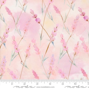 Moda BLOOMING LOVELY Quilt Fabric By-The-1/2-Yard by Janet Clare - 16975 12 Petal