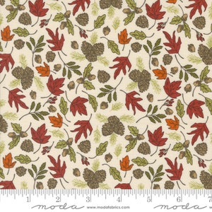 Moda The GREAT OUTDOORS Quilt Fabric By-The-1/2-Yard by Stacy Iest Hsu - 20883 11 Cloud