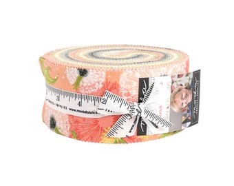 Moda DANDI DUO Jelly Roll 48750JR - 40 2-1/2" Quilt Fabric Strips by Robin Pickens