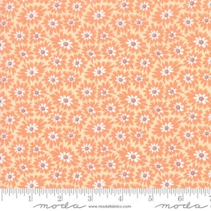 Moda FIDDLE DEE DEE Quilt Fabric By-The-1/2-Yard by Me & My Sister Designs - 22386 15 Orange
