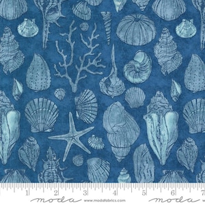 Moda SERENA SHORES Quilt Fabric By-The-1/2-Yard by Robin Pickens - 48774 14 Coastal