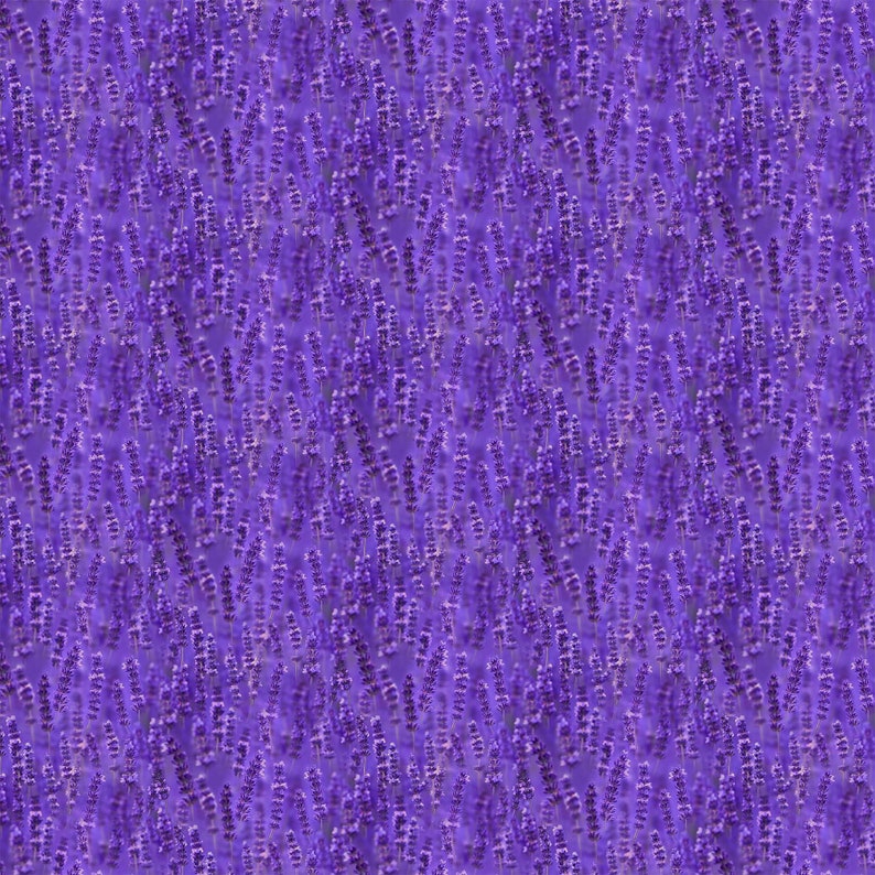 Northcott LAVENDER FIELDS Quilt Fabric By-The-12-Yard DP23825 85 Lavender