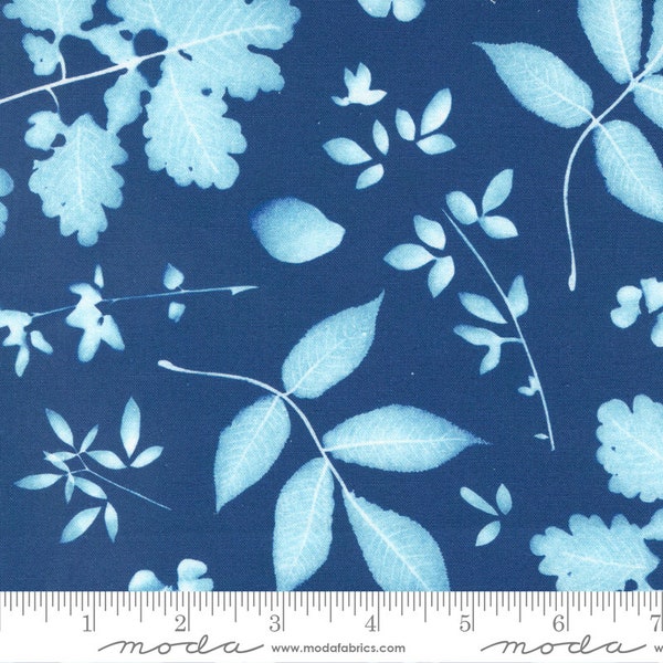 Moda BLUEBELL Quilt Fabric By-The-1/2-Yard by Janet Clare - 16961 12 Prussian Blue