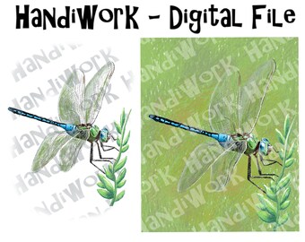 dragonfly colored pencil drawing 8x10 pdf file, dragonfly drawn in colored pencil style clip art png, dragonfly png, dragonfly sublimation