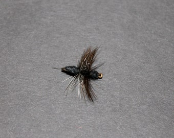 The Ant