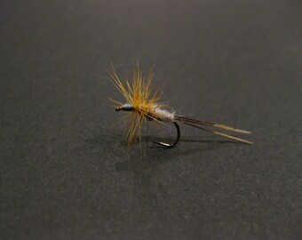 Adams (5-Pack)
