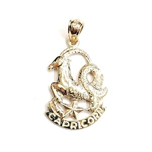 14k yellow Gold Capricorn zodiac sign astrology Pendant charm fine jewelry 2g