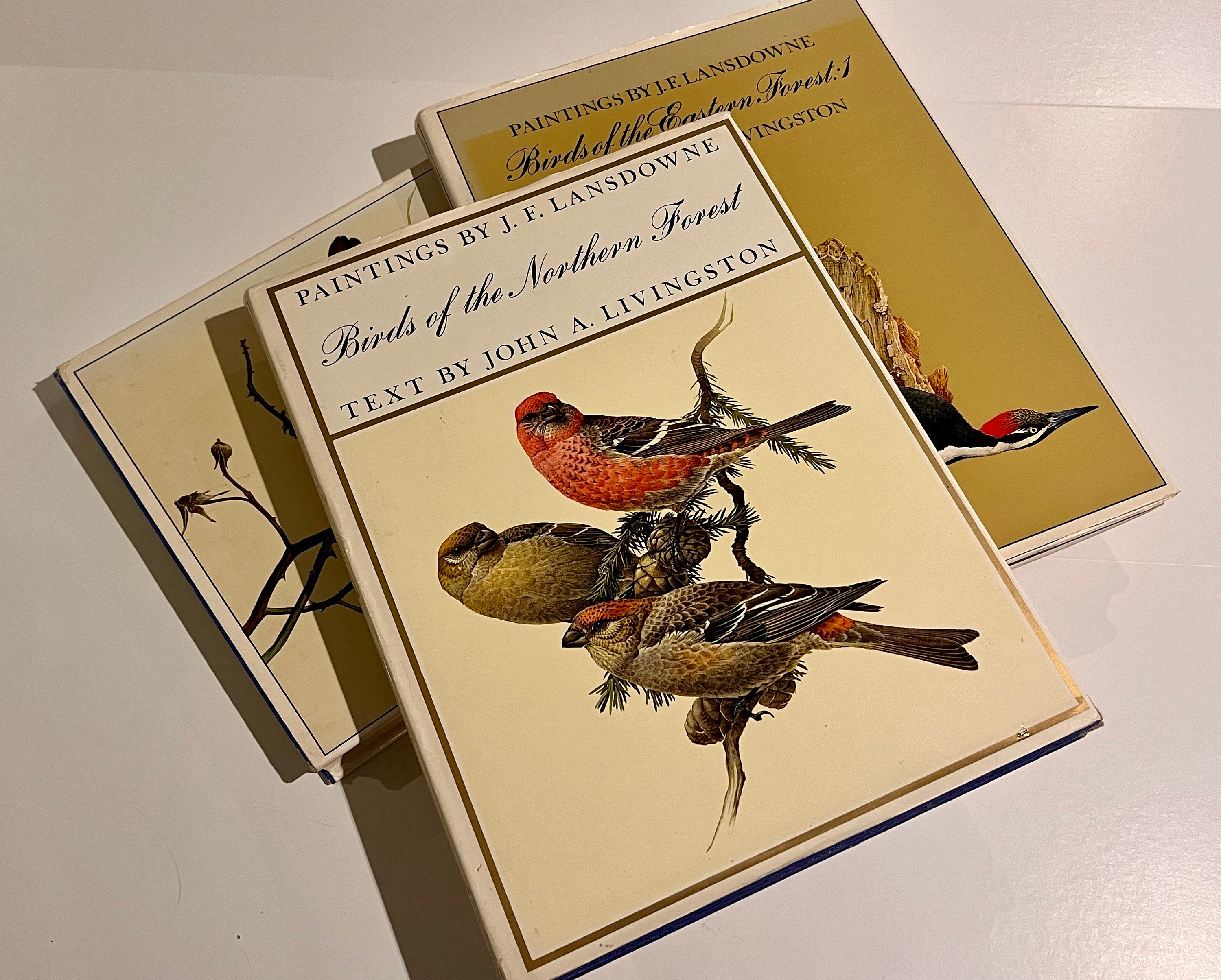 Lansdowne's Birds of the Forest　鳥の図鑑　洋書 Lansdowne's Birds of the Forest 鳥の図鑑 洋書