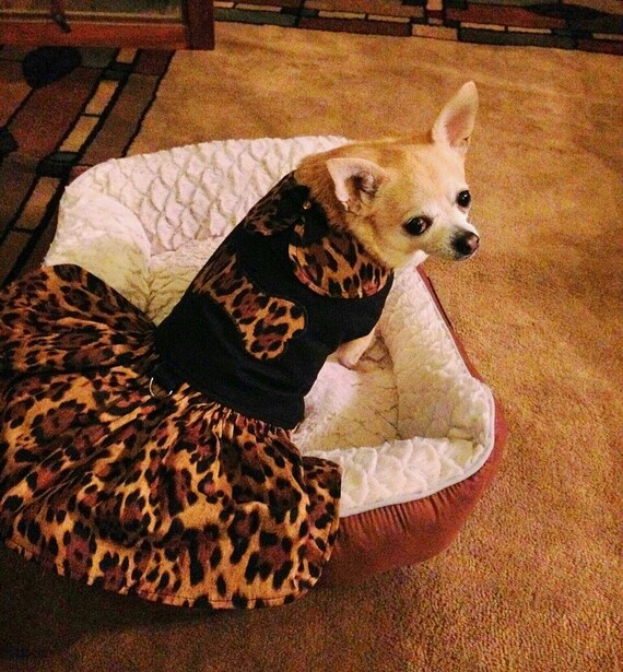 leopard print dog clothes