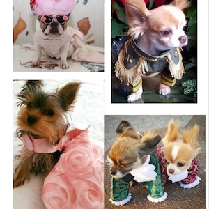 Custom dog costumes