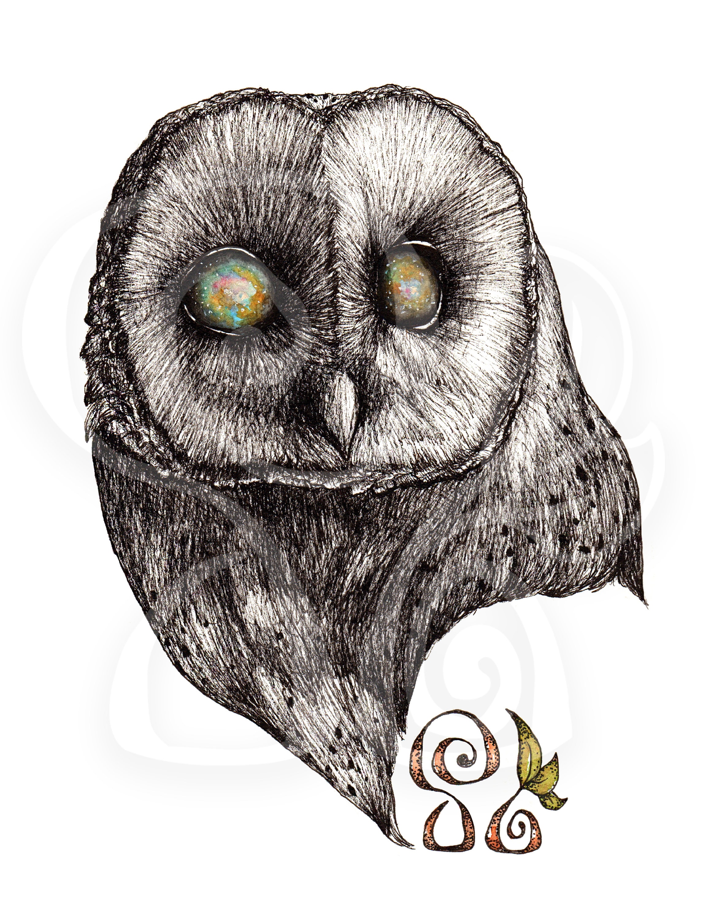 Owl (Giclée Print)