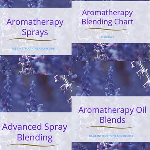 Aromatherapy Blending Rituals Bundle