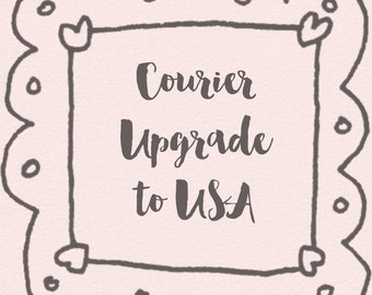 USA Courier Upgrade - DHL - Swanky Crafts