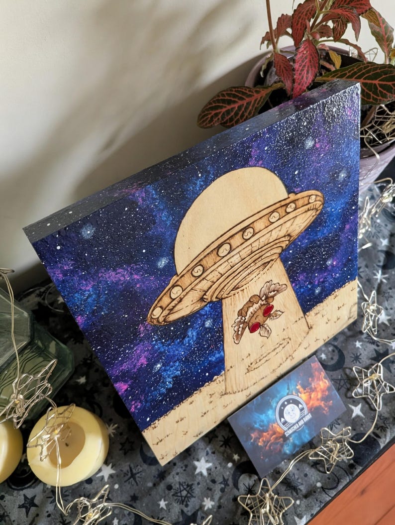 Alien Abduction, Moth Man! Pyrography With Acrylics, Desk/wall Art - Etsy