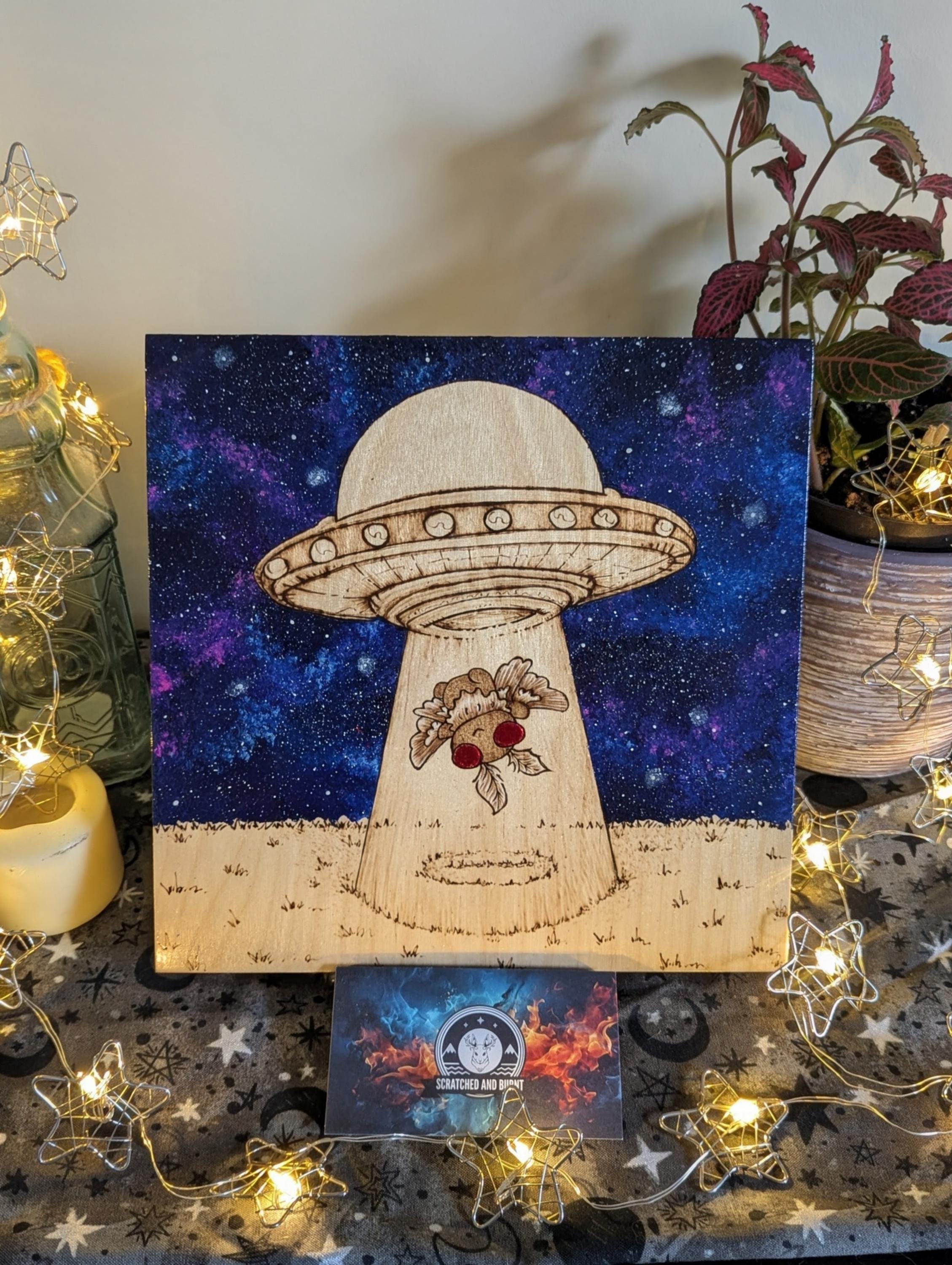 Alien Abduction, Moth Man! Pyrography With Acrylics, Desk/wall Art - Etsy