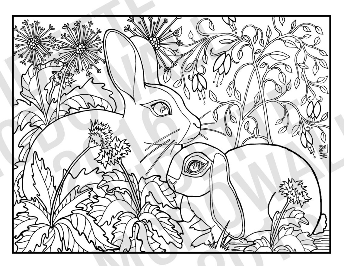 Rabbits: A Printable Coloring Page - Etsy