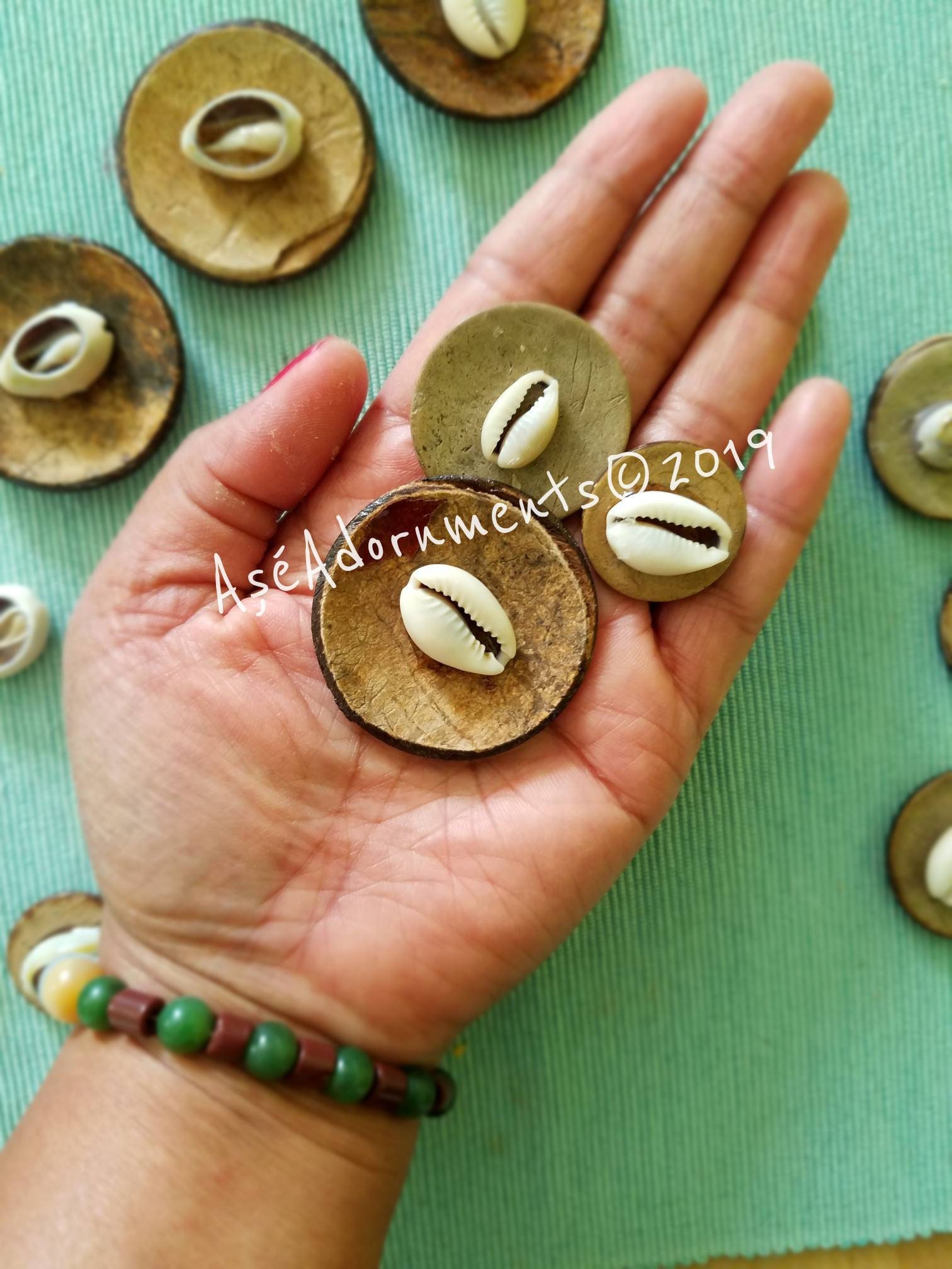 S, M, or L Diaspora Obi Divination Set. Santería Lukumi Ifá Yoruba Palo