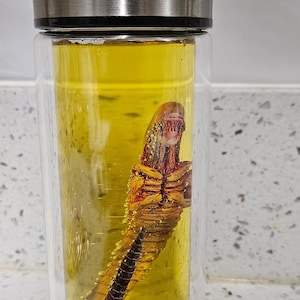 Alien Jar Xenomorph Specimen Facehugger Embryo Glass Jar Movie Prop ...