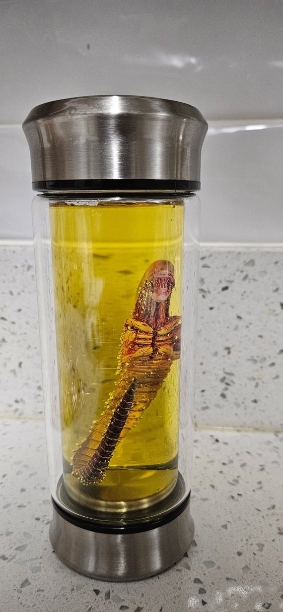 エイリアンジャー ゼノモーフ標本 フェイスハガー 胚 ガラスジャー